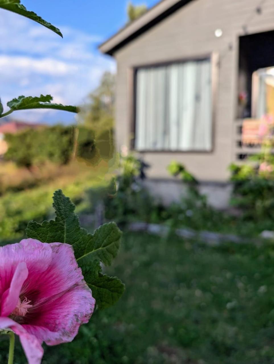 Cottage Kazbegi Sioni Eksteriør bilde